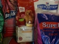 Spendenankunft Tamara am 21-10-14# (5)
