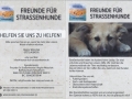 flyer neu gross